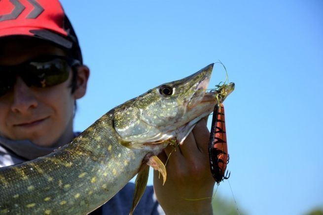 The 8 Best Pike Lures of 2024