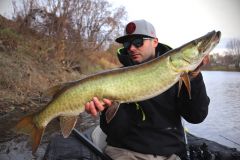 The muskellunge, a fish that tests the angler's patience!