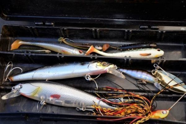 Build up your lure box