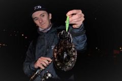 Fishing for cuttlefish at night