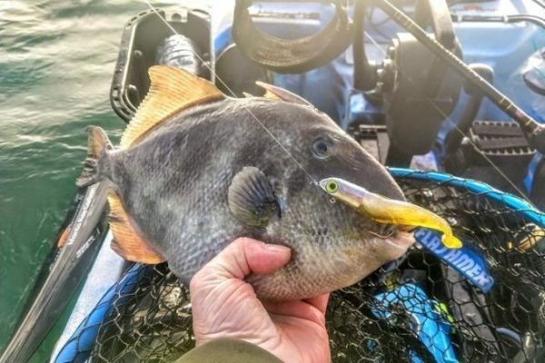 Fishing in winter by kayak