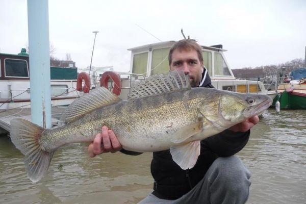 Pike-perch fishing in winter from the shore, where and how to fish efficiently ?