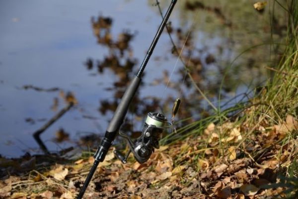 Choosing your first rod for freshwater lure fishing