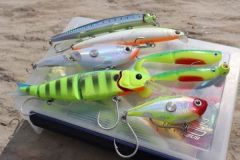 Pike lures work well on payara