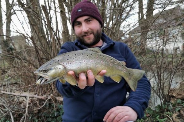 Three Lures For Big Trout Sucess - The Fisherman
