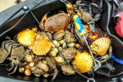 Fishing trip on the foreshore