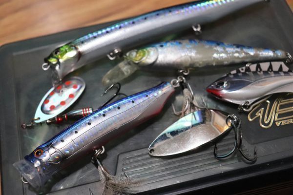 Trout with soft lures: recognize the different types of lures