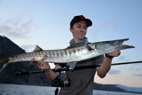 Fishing for barracuda, tips for searching for this predator