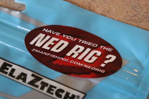 Ned Rig, a lure fishing technique that is becoming more popular!