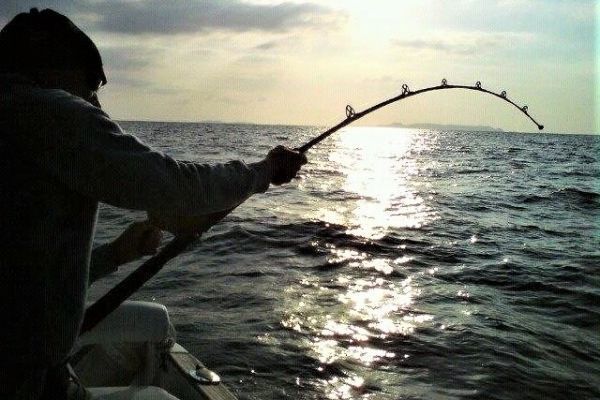 https://media.fishing.news/src/images/news/articles/ima-image-42724.jpg