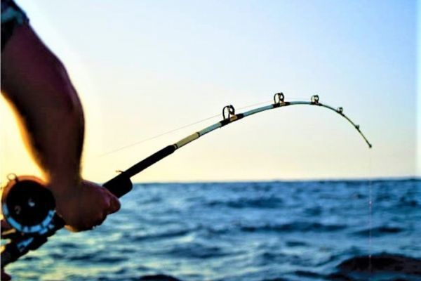 How to choose and use a trolling reel?, trolling fishing 