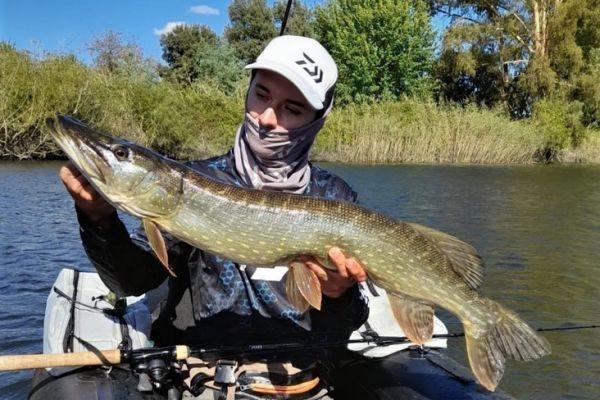 Essential Tackle for Pike Fishing