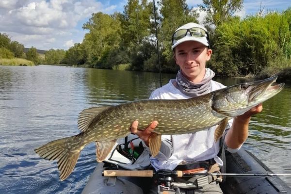 Pike fishing with jerkbait minnow, an efficient technique
