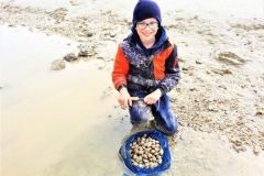 Fun, clamming is accessible to all