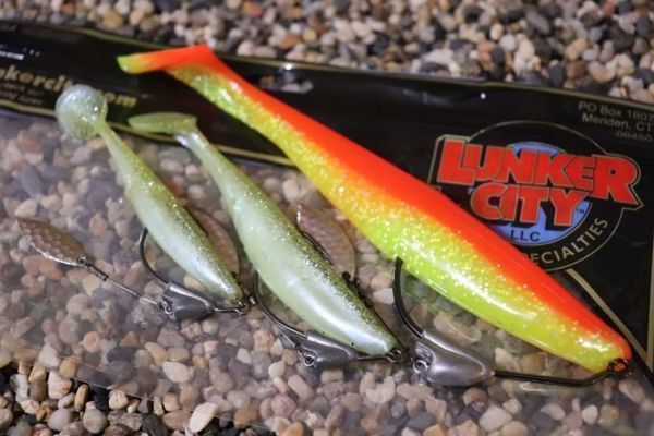 Discover Lunker City's Swimfish, a shad for Texas-style fishing
