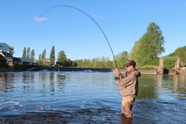 How do you tie a fly for shad fishing?