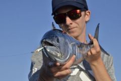 Pelamide fishing, our tips for success