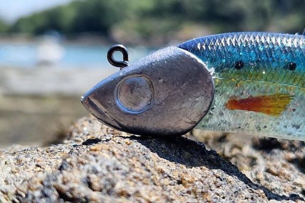 HY concept lead heads for sea bass fishing in traction