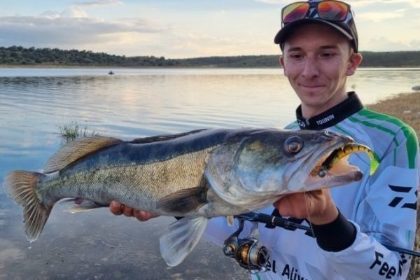 3 types of spots for linear pike-perch fishing from the shore