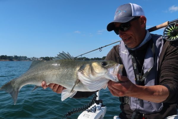 Fly fishing for wild Brown trout on Lough Corrib. Galway. Private