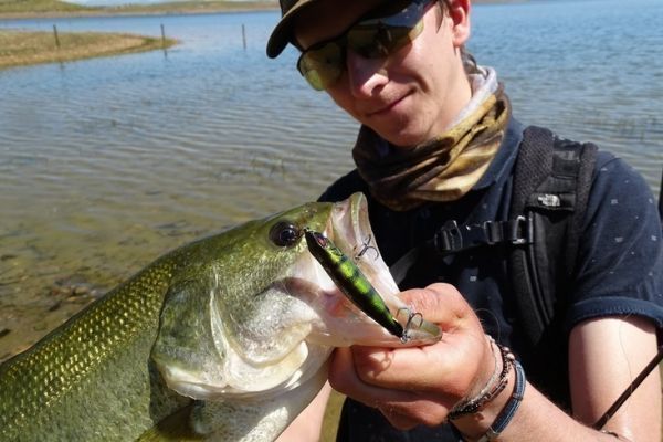 Choosing the right lure for summer black bass fishing