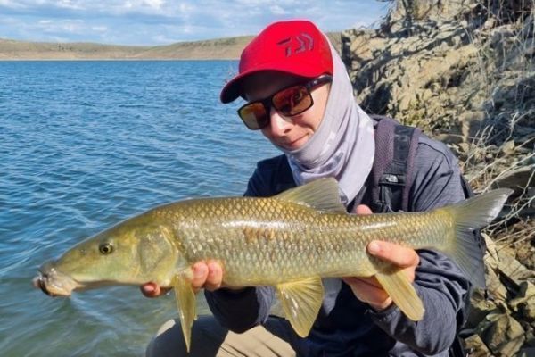 The 3 best flies for fishing Extremadura barbel