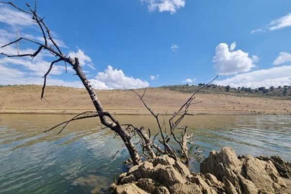 Lac de la Serena, findings on the fish population