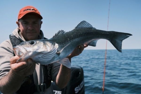 Video of sea fishing with metal jigs, discover Drag Metal Cast