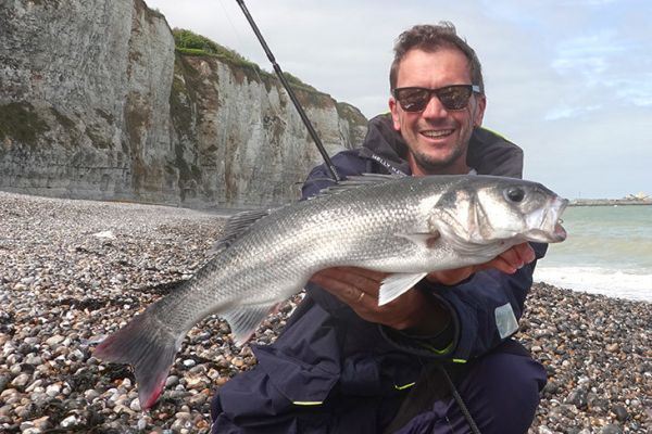 Sea bass fishing banned from shore in the Channel and North Sea
