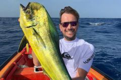 A dolphinfish with its beautiful colors