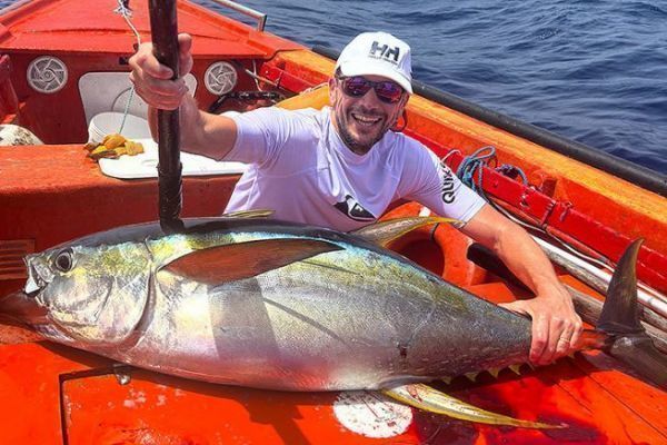 Yellowfin or albacore tuna, a widespread species around the globe