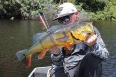 Fishing for peacock bass in the Amazon