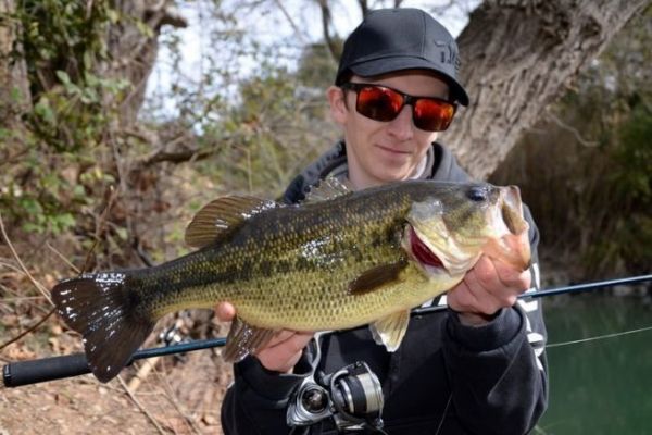 Lures and techniques for autumn black bass fishing