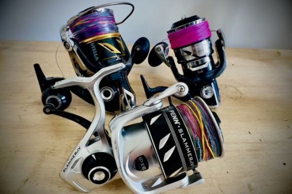 Fishing reels  All the news on