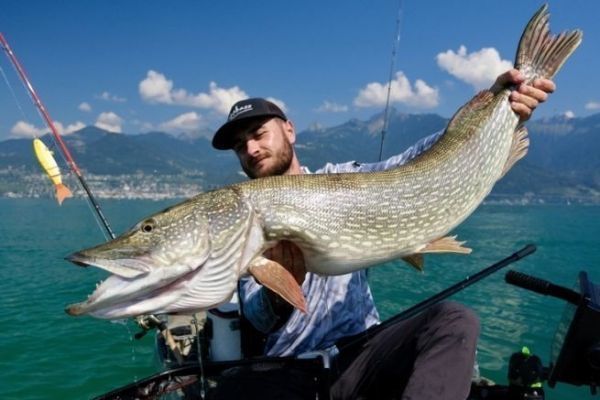 Fishing for big pike with a Balam swimbait