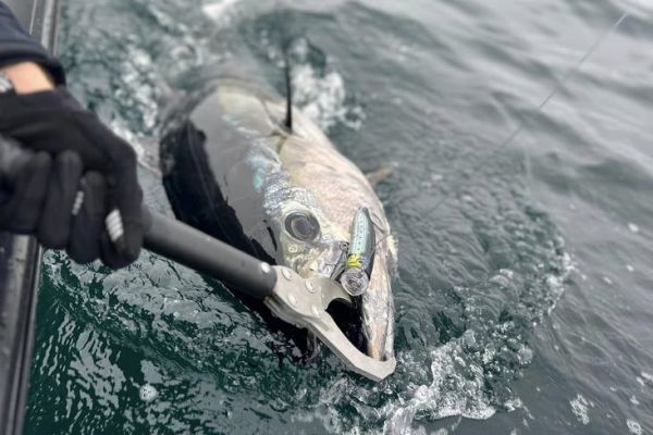 GIANT Rods, GIANT Baits, GIANT TUNA!!! New England Bluefin Tuna Fishing 