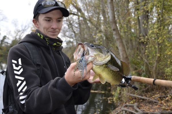 Black bass fishing, 3 types of rod to be effective in all seasons