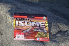 Fishing with Power Isome worms