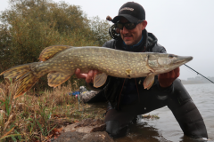 Pretty autumn pike that will have fallen for a RH fly