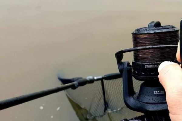 Fishing reels  All the news on