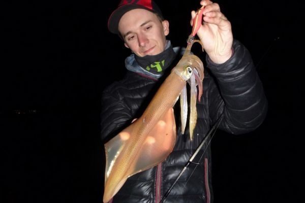 3 effective lures for ultra-light shore fishing for redfish