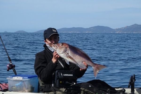 Fishing with inchiku, species to target according to season