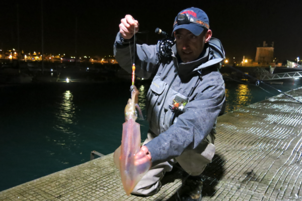 Fly-fishing for squid, a fun winter challenge