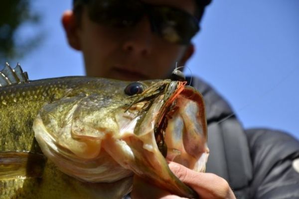 3 good areas to prospect for black bass in winter