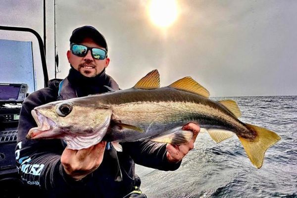 Lure fishing for pollock: how to find the right spots?