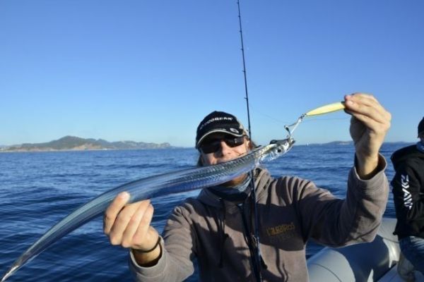 Jigging for swordfish, a predatory deep-sea fish