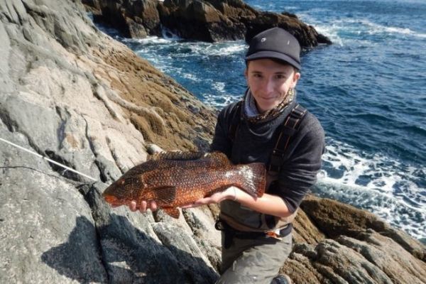 3 effective lures for shore fishing in Ireland