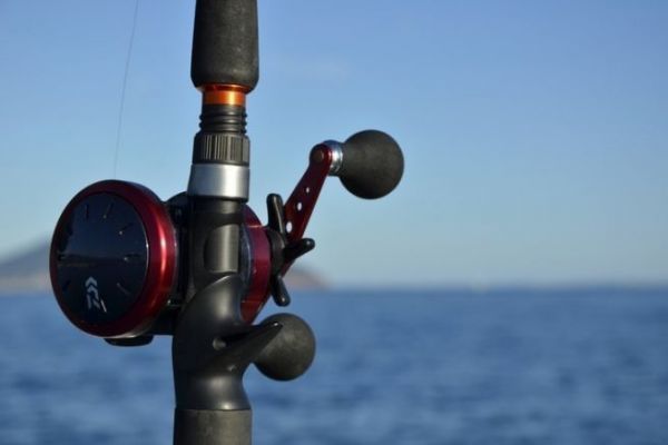 The equipment you need for inchiku sparid fishing