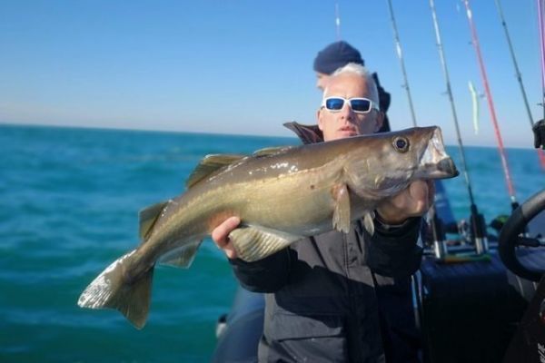 Discover 3 essential tips for wreck fishing