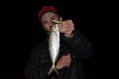 Lure fishing for redfish